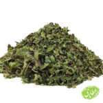 بادرنجبویه