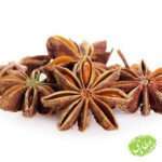 بادیان ختایی