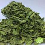 برگ نعنا خشک شده