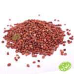 تخم تربچه قرمز