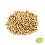 تخم گشنیز نهاوند