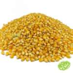 ذرت پاپ کورنی