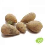 سنگ-حجرالیهود