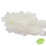 شاخه نبات سفید