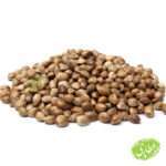 شاهدانه درشت